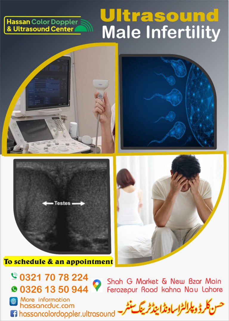 Male Infertility Profile, Full Ultrasound -